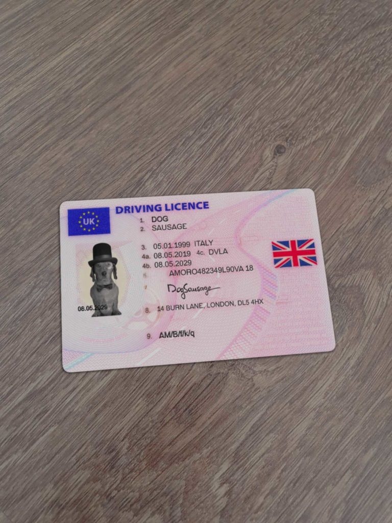 United Kingdom Driver Licence 1