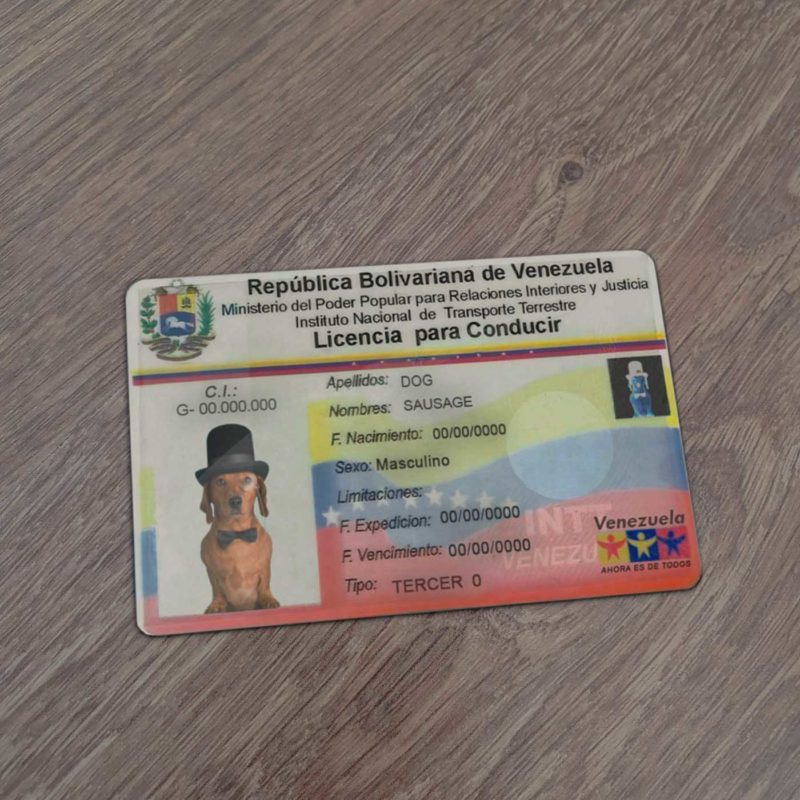 Venezuela Driver License Template