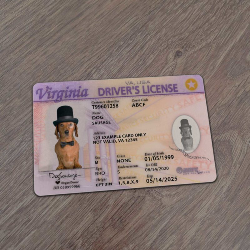 Virginia Driver License Template