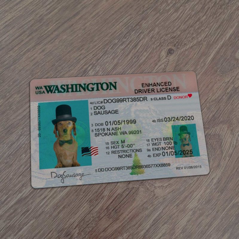 Washington Driver License Template