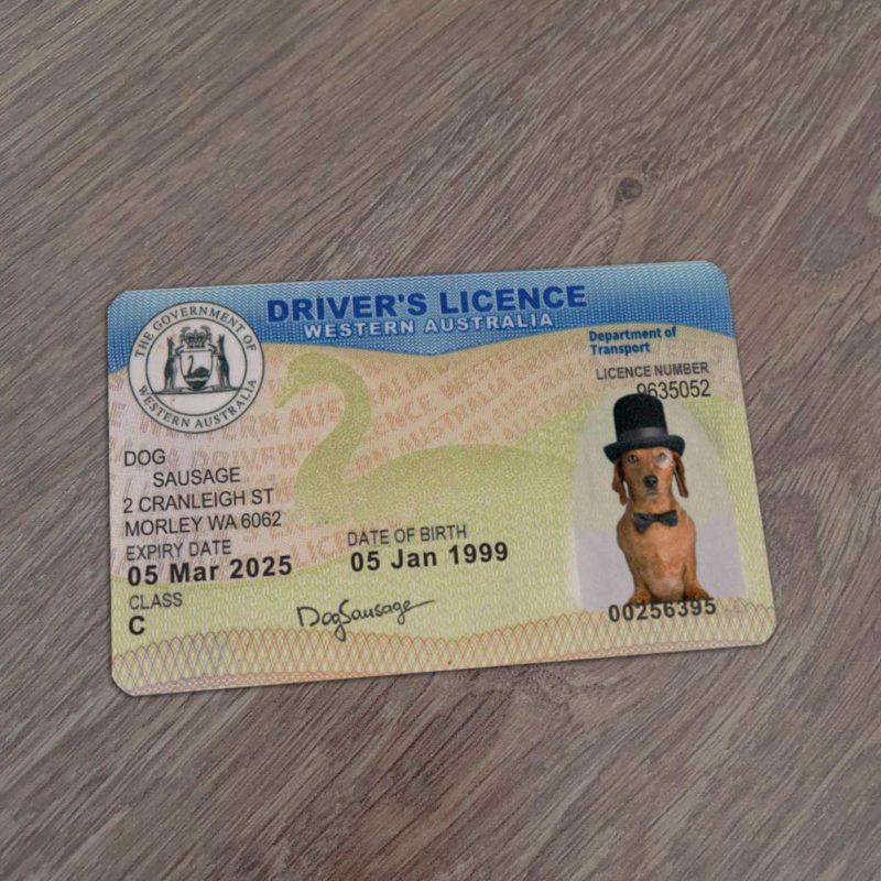 Western Australia Driver License Template