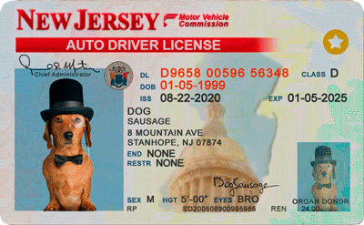 new jersey driver license template