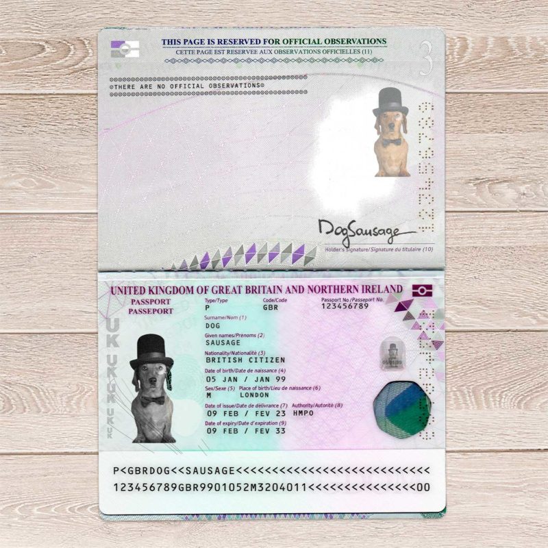 fake UK Passport Template