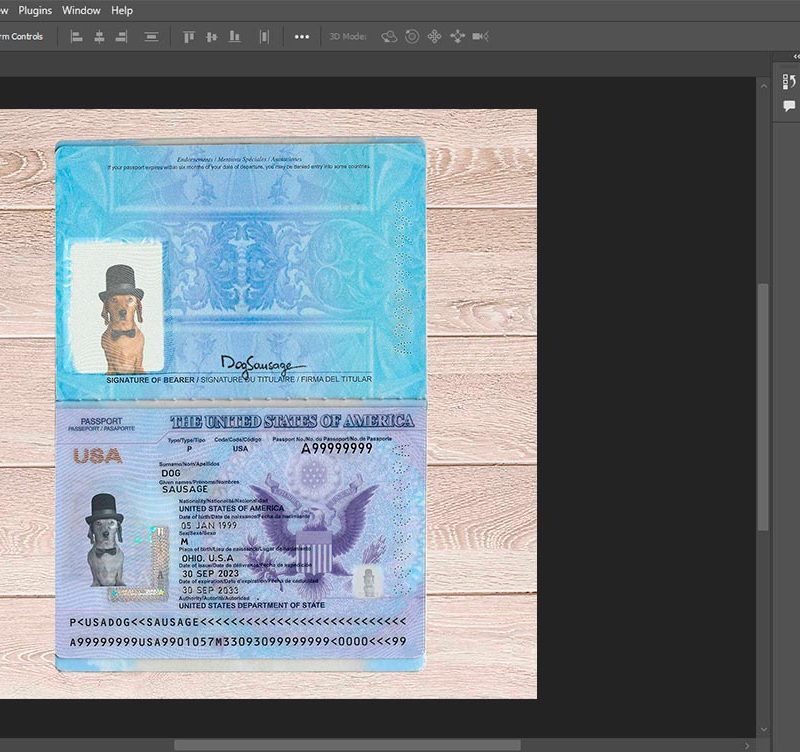 usa passport template