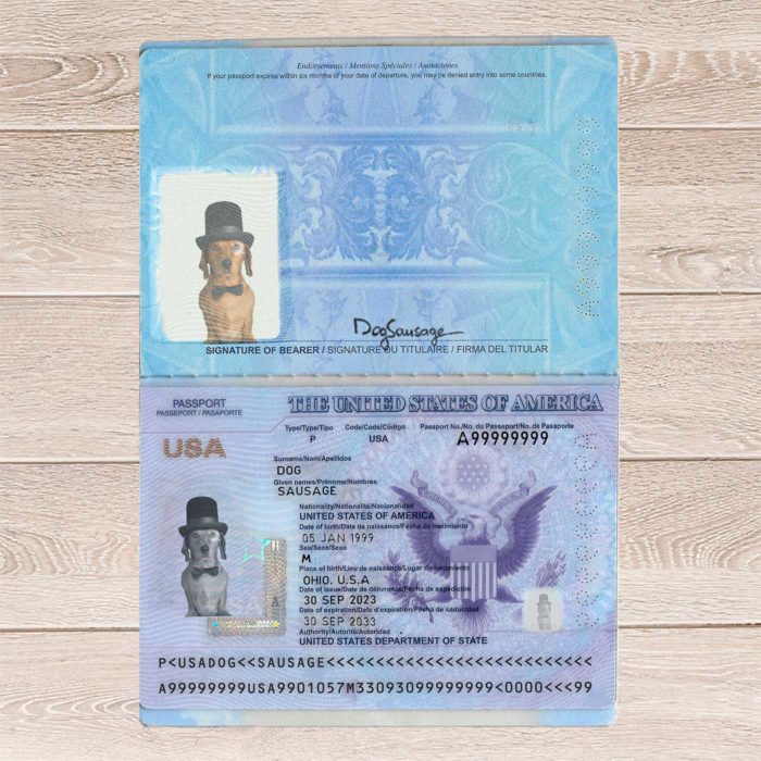 fake usa passport